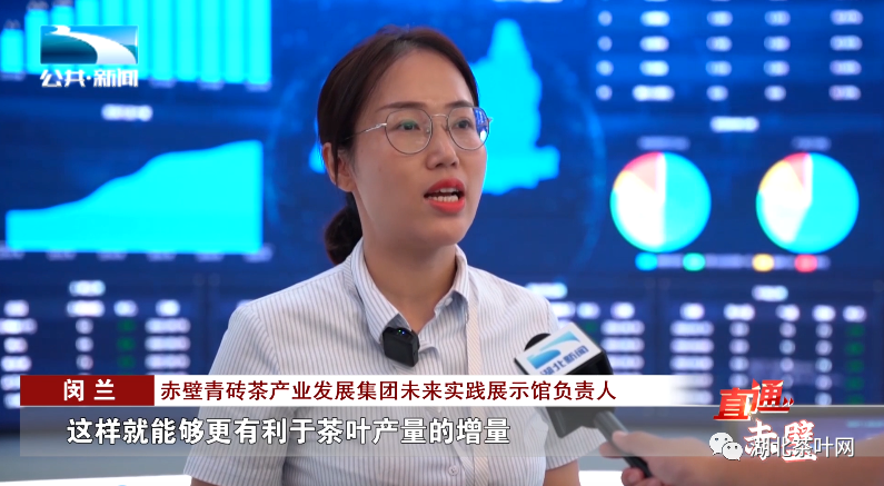 打造青砖茶标准体系 推动茶产业高质量发展