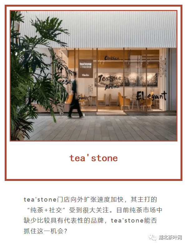 tea'stone为什么火了？ 