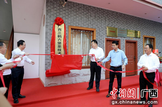 广西三鹤六堡茶技术研发中心成立 助力打造“千亿元广西茶产业”