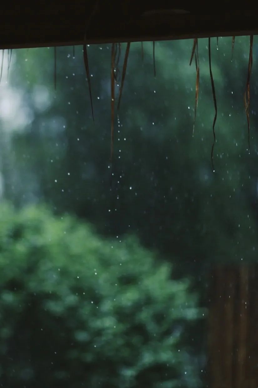 茶中相遇，只为投缘