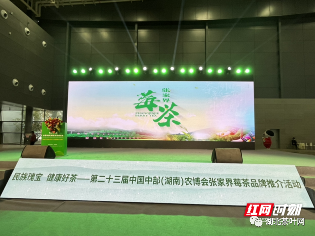 张家界莓茶：“神仙草”成“富民茶”