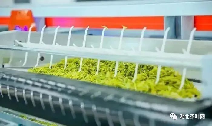 茶叶数字化加工研究现状