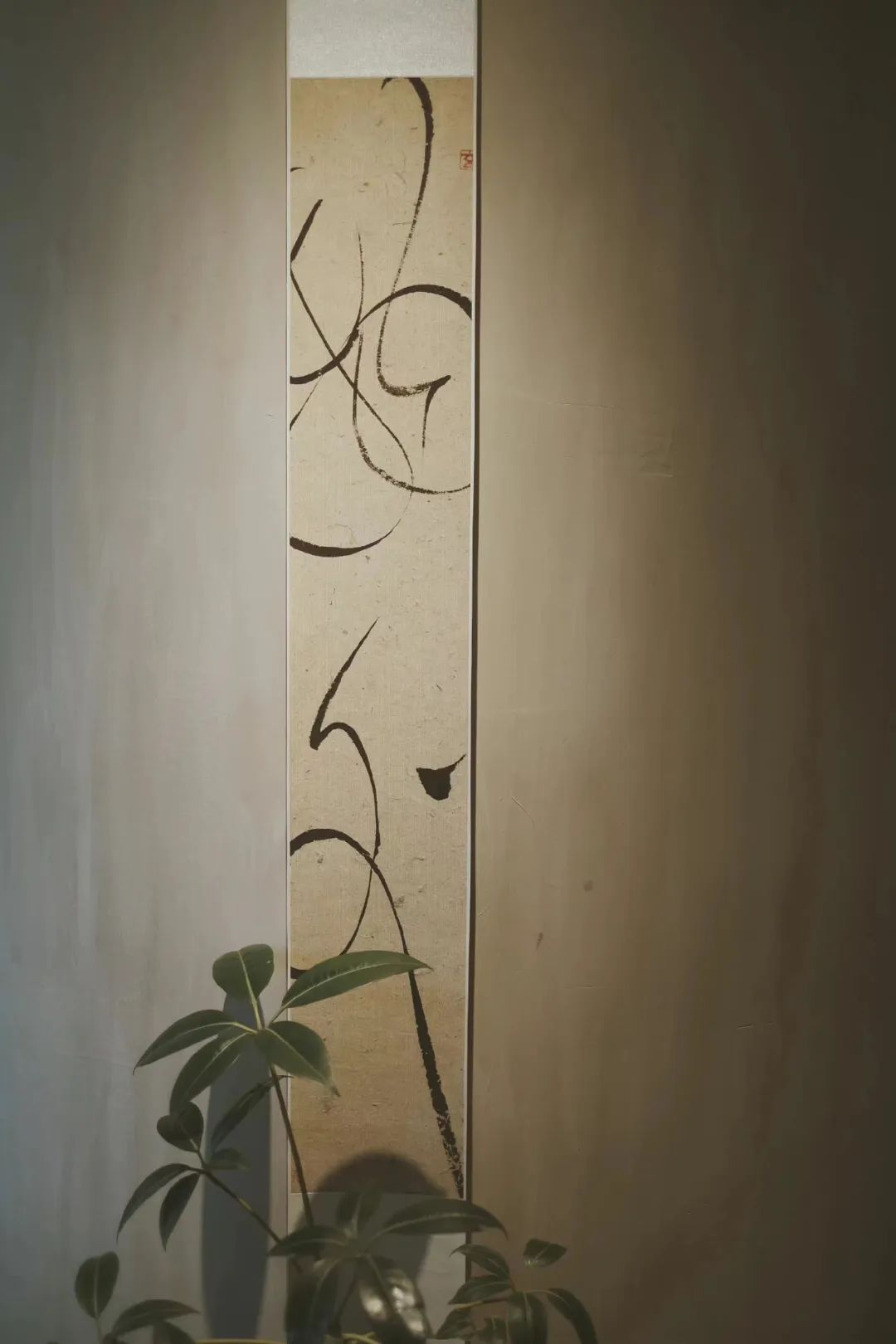 泡一杯热茶，去聆听茶的心事