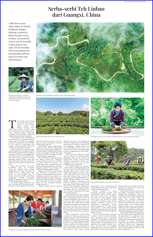 印尼《罗盘报》整版刊文关注梧州六堡茶