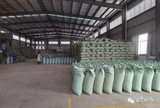 英山云雾茶业“出口＋线上”发力，计划用2年时间实现产值过亿元