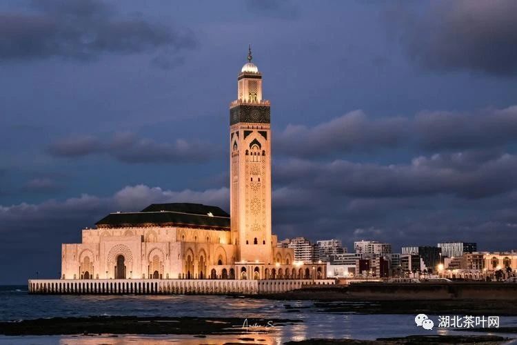 记者手记：中国茶香飘摩洛哥