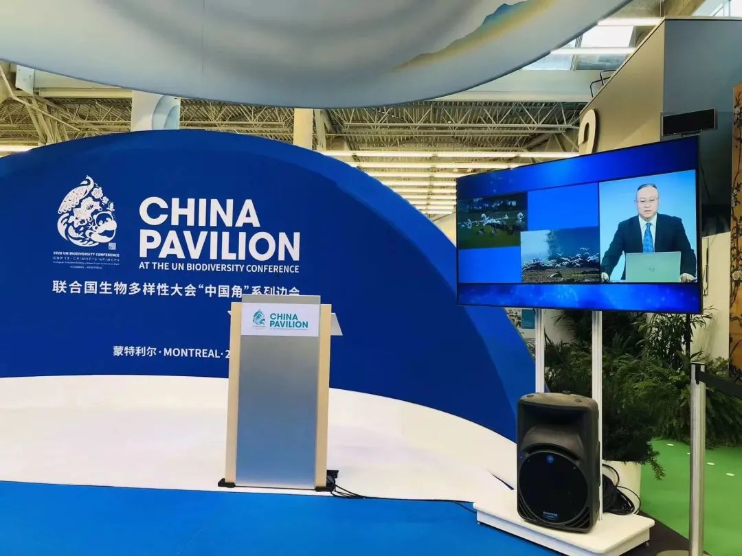 何青元：“古茶树王国”诠释西双版纳生物多样性之美