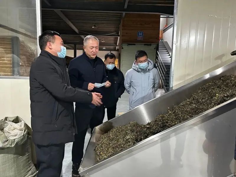 福鼎市人大常委会主任蔡梅生率队赴管阳调研茶产业工作