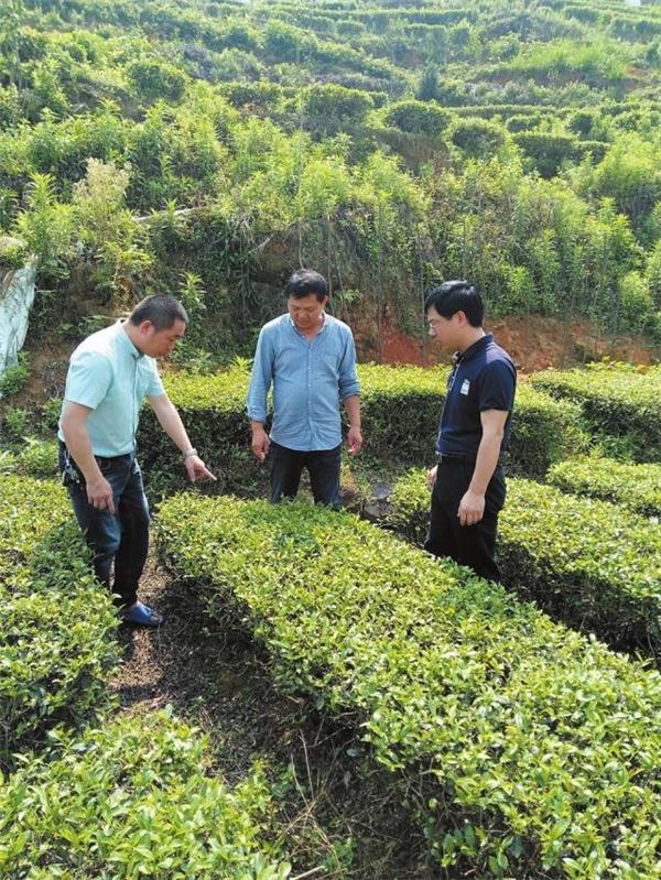 福建眉山乡：深化科技强农 助力乡村振兴