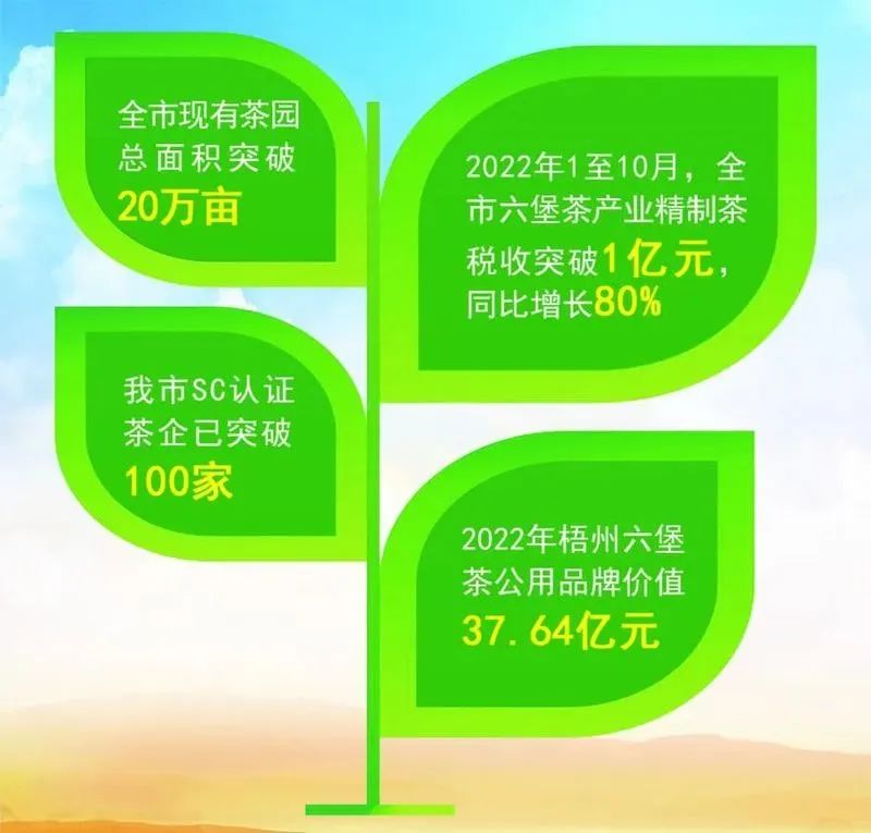 梧州市六堡茶产业发展实现“三大”突破