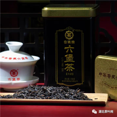 广西：梧州六堡茶出口迎来“开门红”