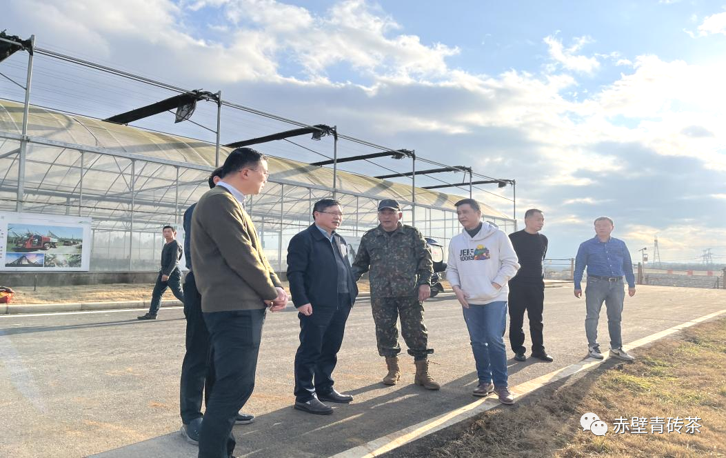 湖北农发集团领导赴赤壁神山兴农科技有限公司调研