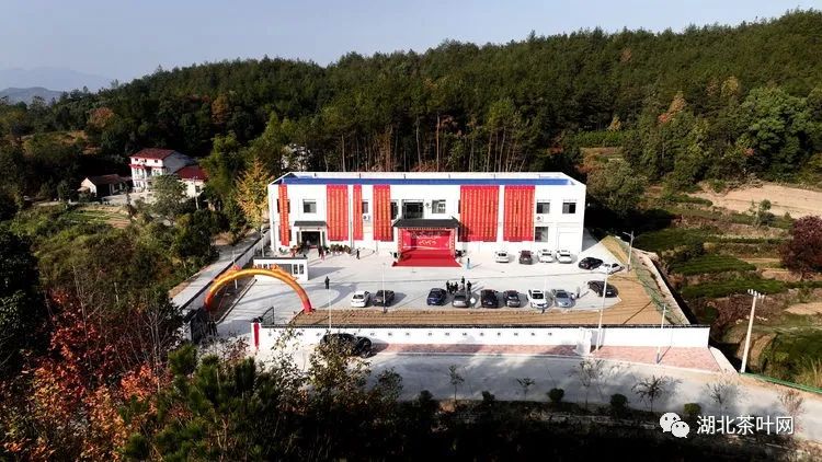 湖北茶叶网（艺茗道茶艺培训）英山盛世鎏香茶文化交流中心成立