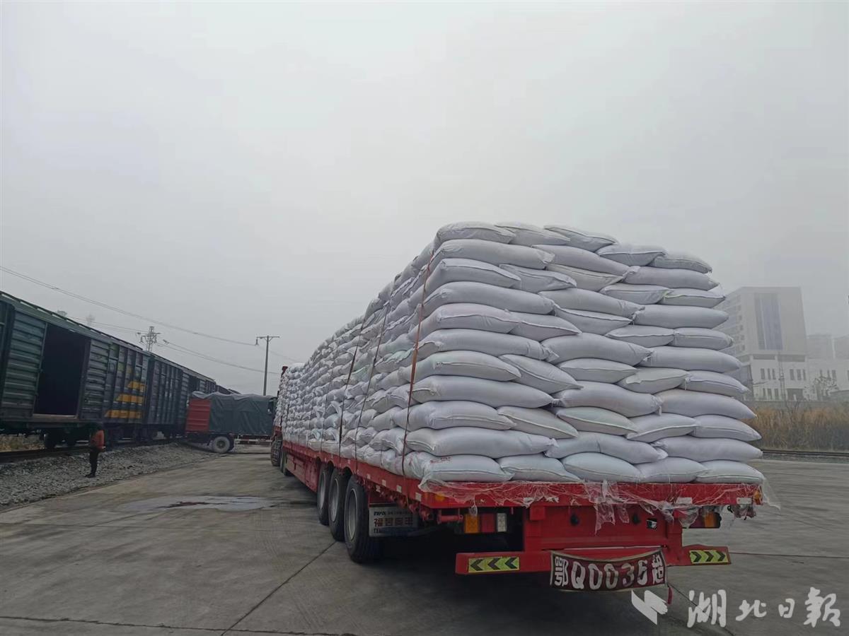 11万斤恩施绿茶坐火车去中亚 湖北省茶业集团外贸“开门红” 出口数量同比增长10%
