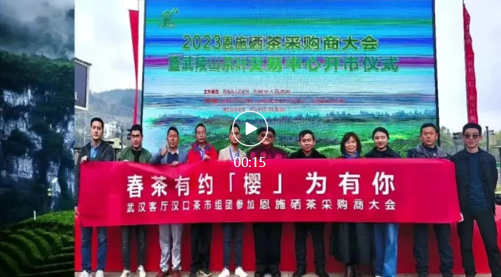 助力硒茶出山 汉口茶市组团赴产地采购恩施鲜绿