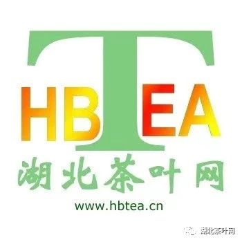 湖北茶叶网讨论与合作：怎样成就一个优质茶品牌？