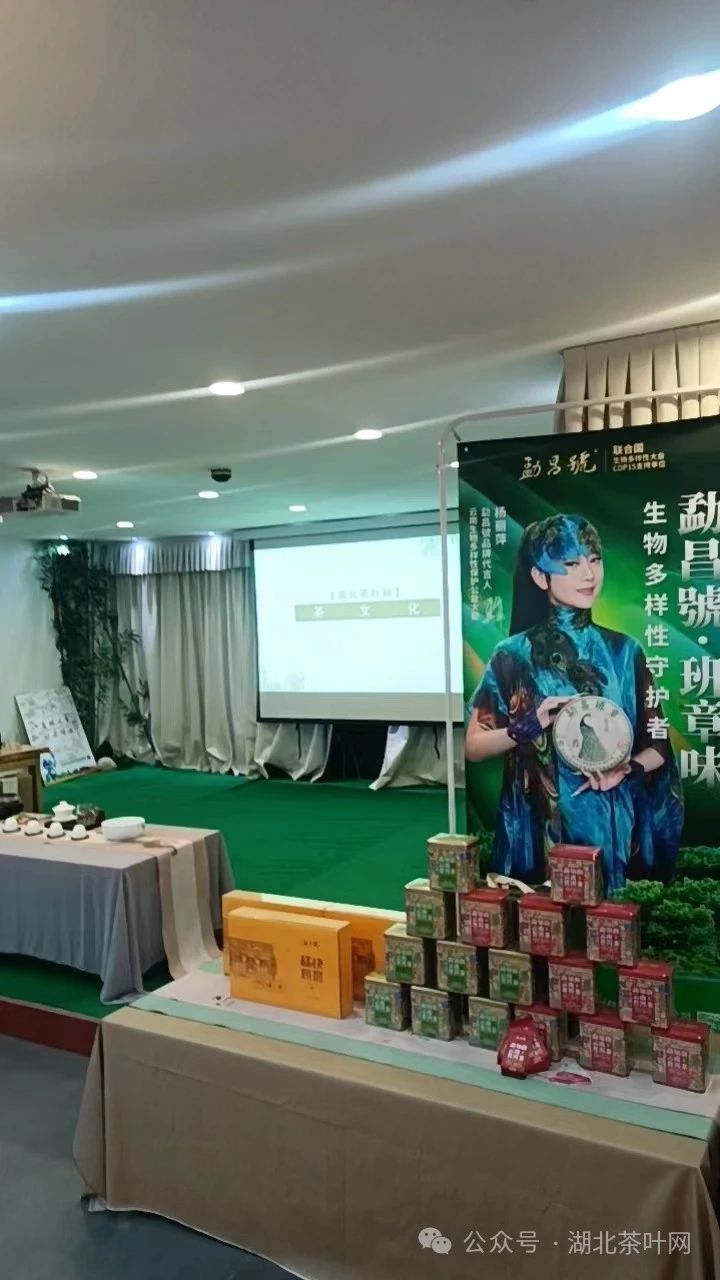 茶文化进客厅--第十三期“艺茗品”，武汉客厅企业家茶会成功举办