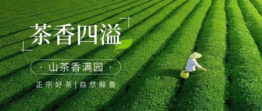 恩施州2025年茶叶市场规范整治告知书