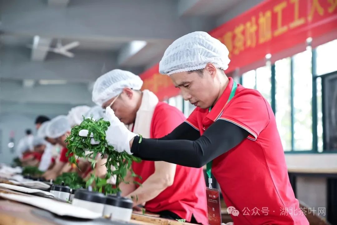 茶行业又添新职业，人社部发布：代用茶加工工